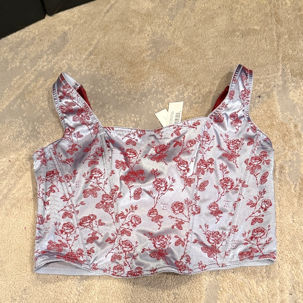 Fleur‎ du Mal blue mist rose corset top size L brand new